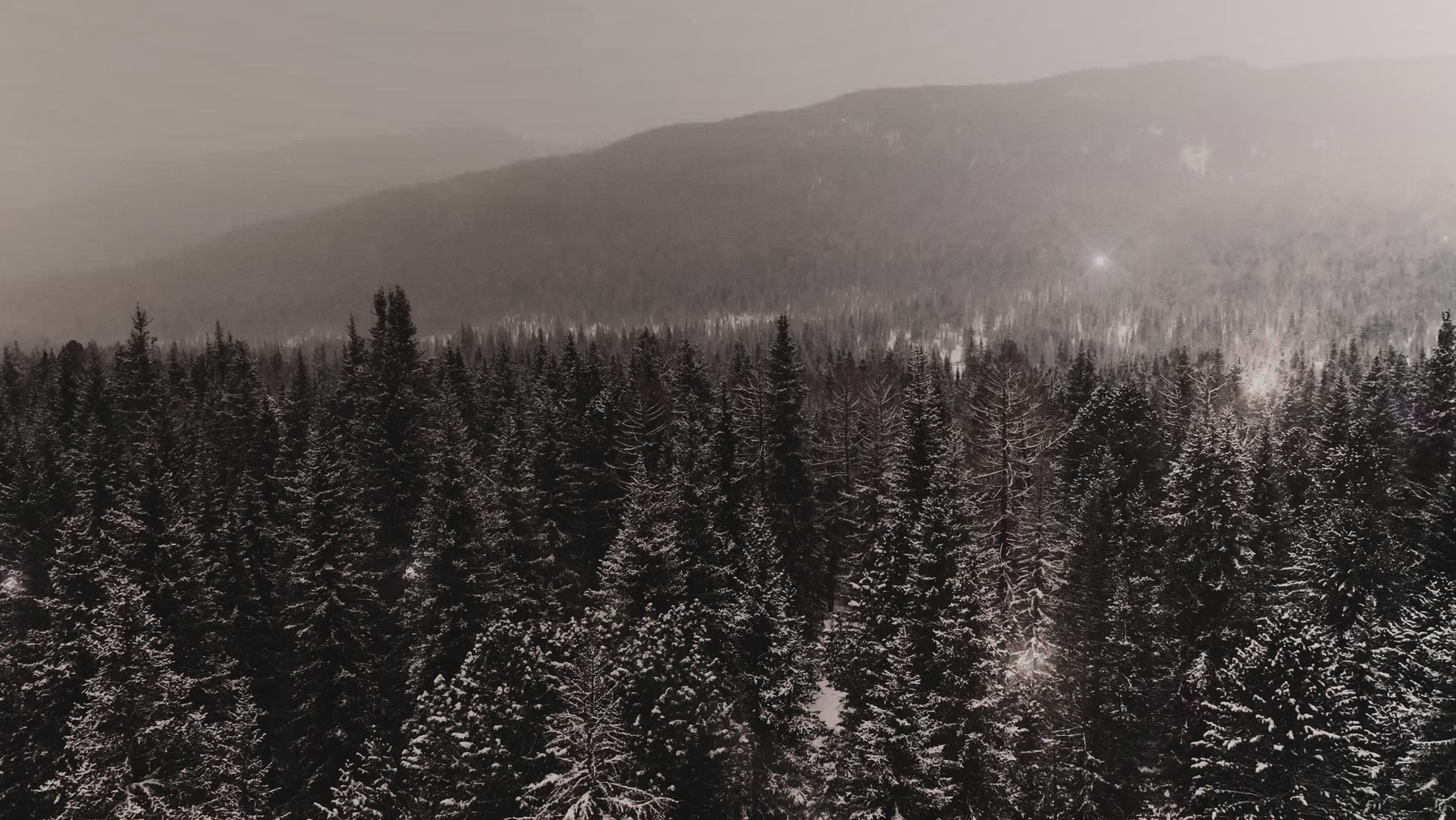 Sauna Revival winter season video